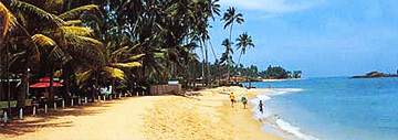 National Geographic lists Sri Lanka 2nd best island destination