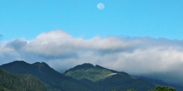 Full moon at dawn at Haputale. Photo B Kumarasiri