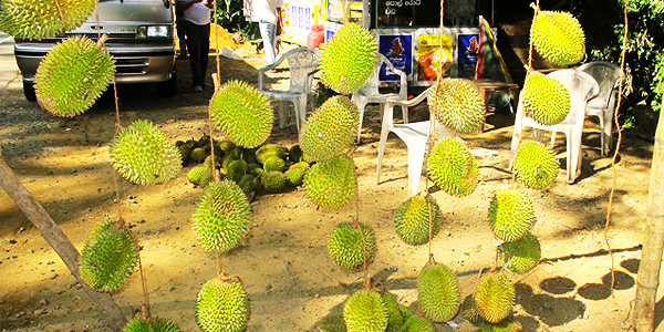 Durian on display