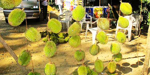 Durian on display