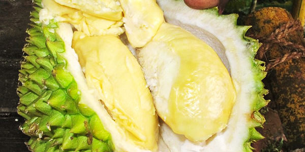 Durian flesh, like custard with attitude
