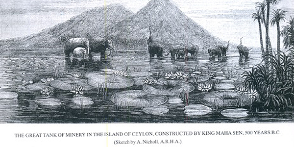 Elephant Gathering, 1876