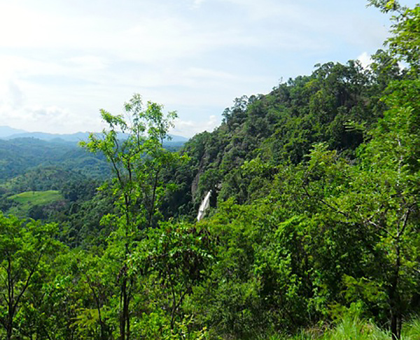 Peessa Falls in the jungle