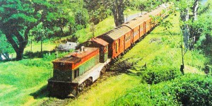 Train to Kandy, 1990