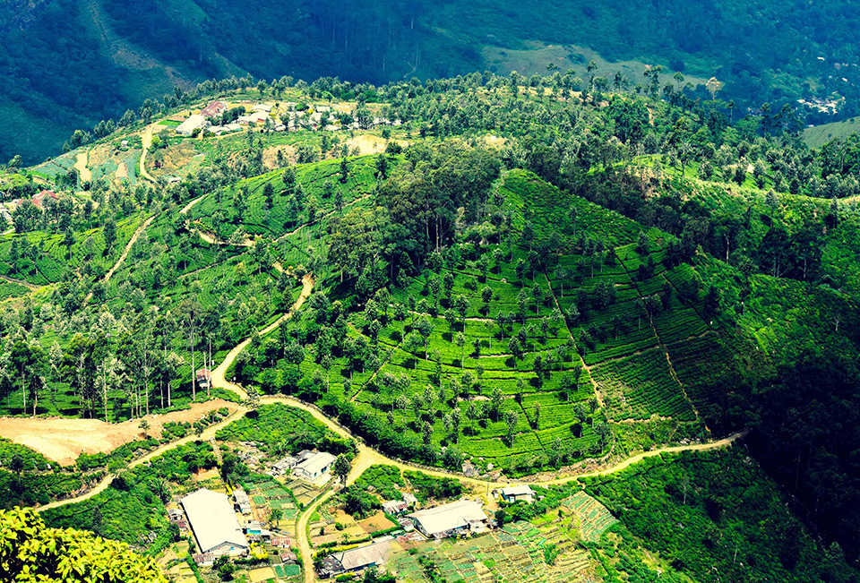 Lipton’s Seat, Sri Lanka