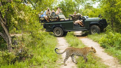 Protect the environment on your Sri Lanka wildlife safari