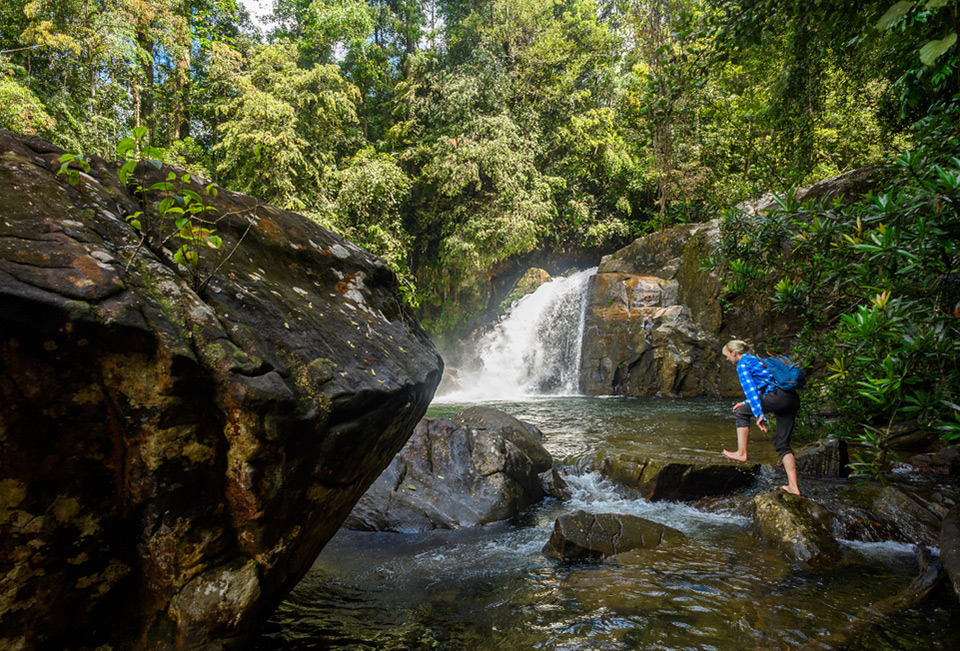 7. Discover Sinharaja Rainforest