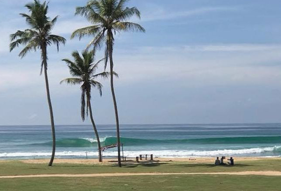 Plantations/Coconuts – Midigama