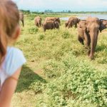 8 best activities for a sri lanka family holiday with teenagers header