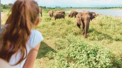 8 best activities for a Sri Lanka family holiday with teenagers
