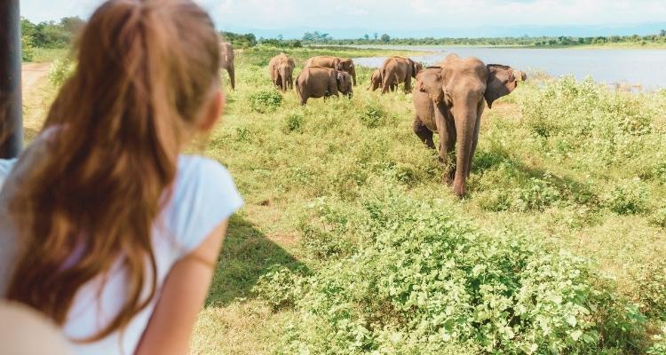 8 best activities for a Sri Lanka family holiday with teenagers
