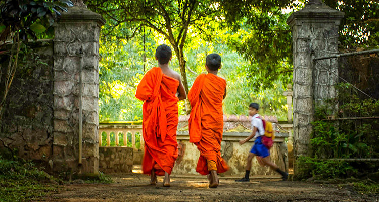 How to explore Buddhism on a Sri Lanka holiday