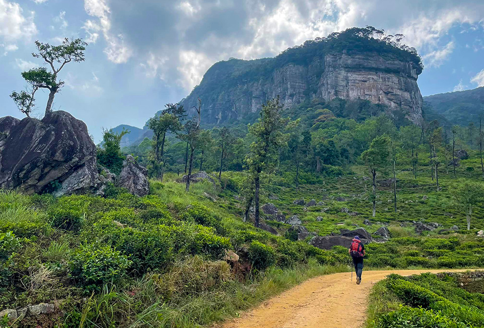 Healing through hiking: extreme expeditions in Sri Lanka