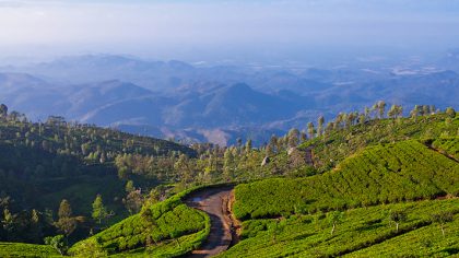 Top 5 places to stay in Sri Lanka in winter